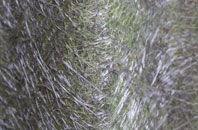 Netheroyd Hill fibreglass roof work